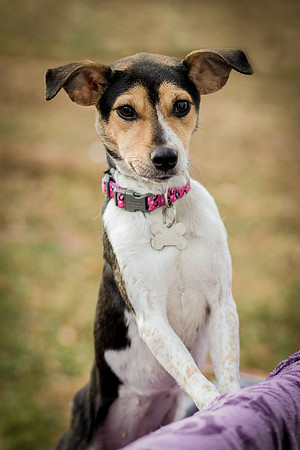 Foster Buffy-5689