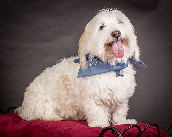 Foster Frosty-0566
