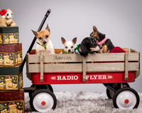 Foster Hospice Gang-3827
