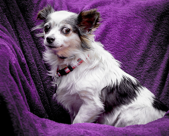 Foster Anouk-8799