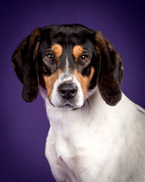 Foster Goofy-0923