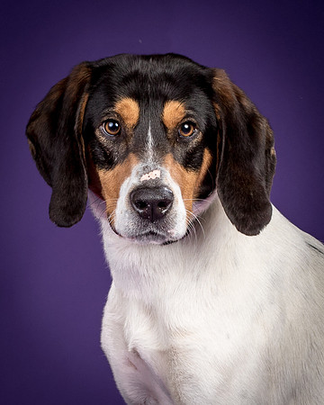 Foster Goofy-0923