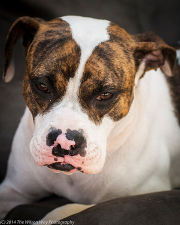 Foster Mikell-2518