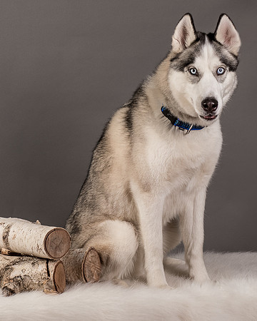 Foster Aspen-7669