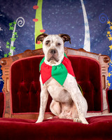 Foster Sylvester-0940