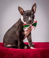 Foster Seymour-3665