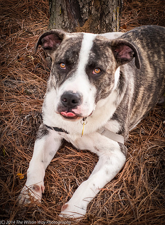Foster Louie-9723