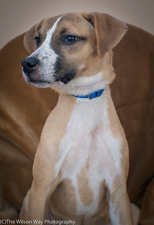 Foster Curly-8880