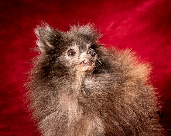 Foster Loretta-1351