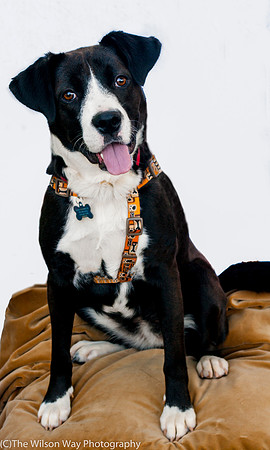 Foster Hadley-8821