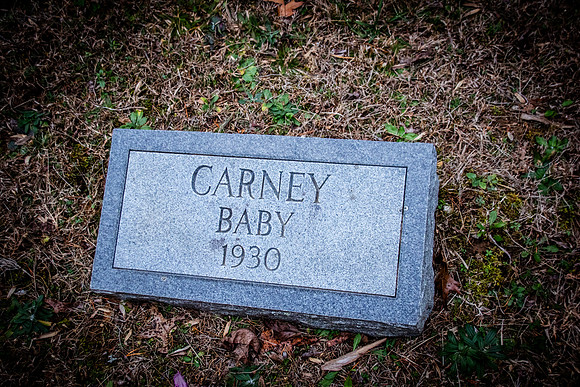 Carney-3653