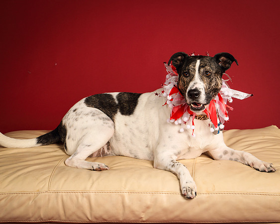 Grace and Mello-5396