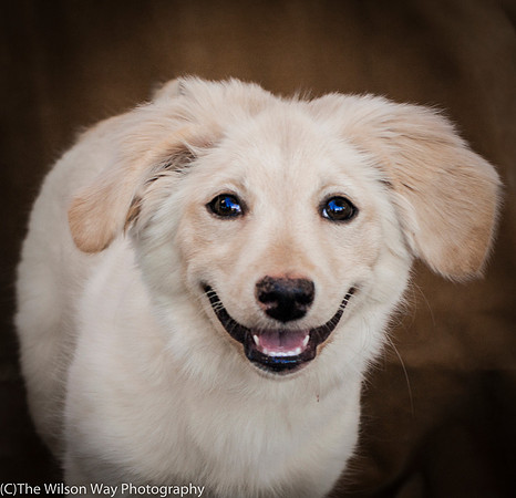 Foster Stephanie-9648
