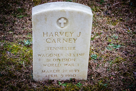Carney-3578