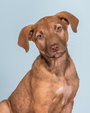 Foster Bronwyn-8369