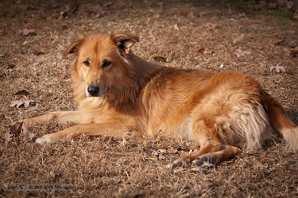Suzies Pride-2815