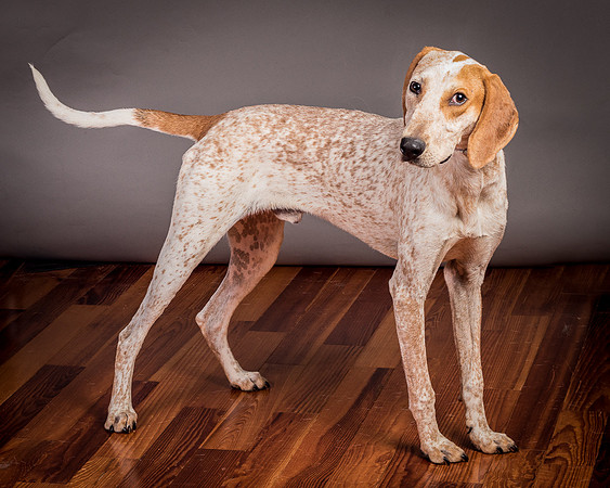 Foster Memphis-2988