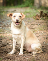 Foster June-8653