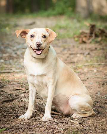 Foster June-8653
