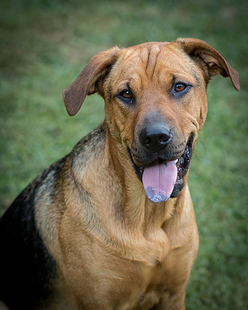 Foster Maya-0422