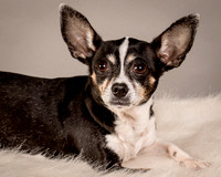Foster Justice-4624