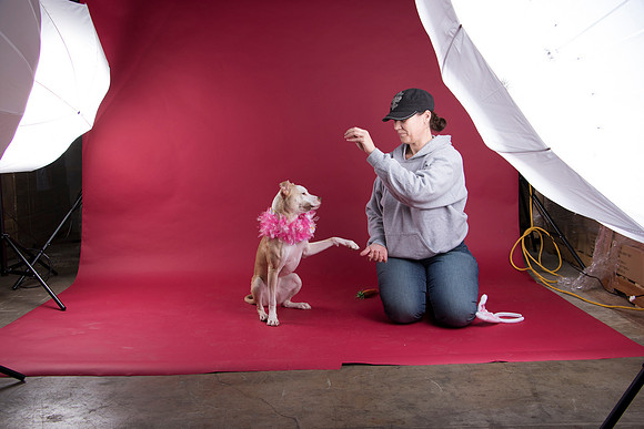 Calendar Bloopers-9040