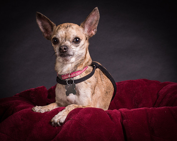 Foster Selina-1123