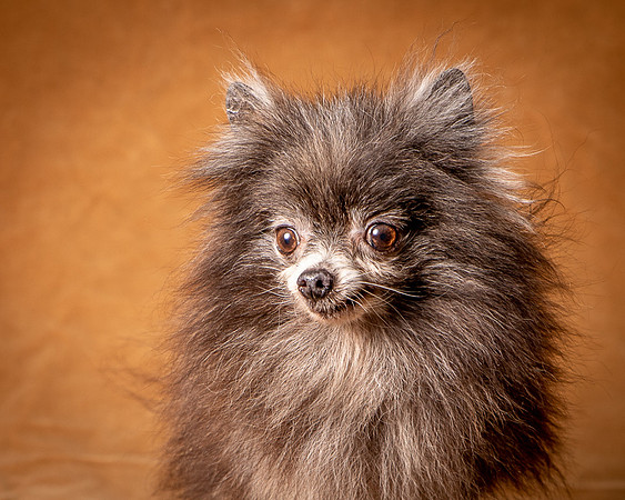 Foster Loretta-1284