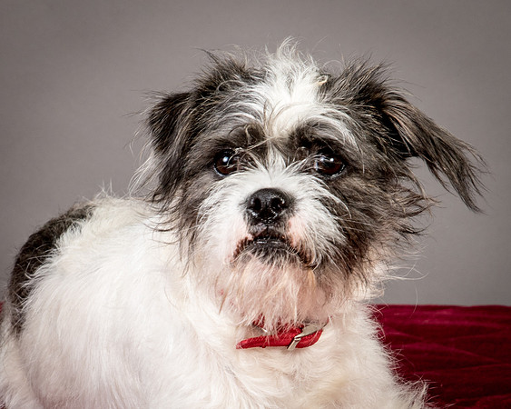 Foster Leeza-2801