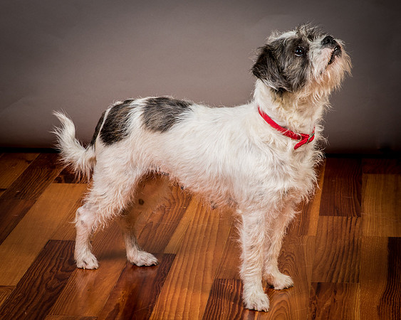 Foster Leeza-2807