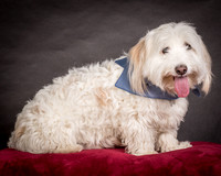 Foster Frosty-0542