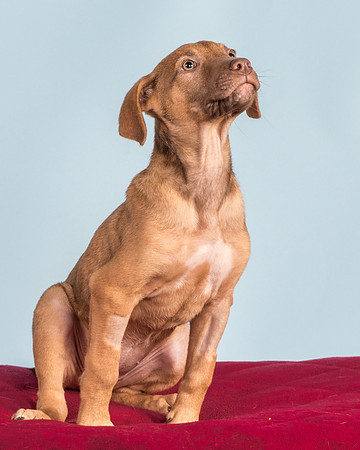 Foster Bronwyn-8360