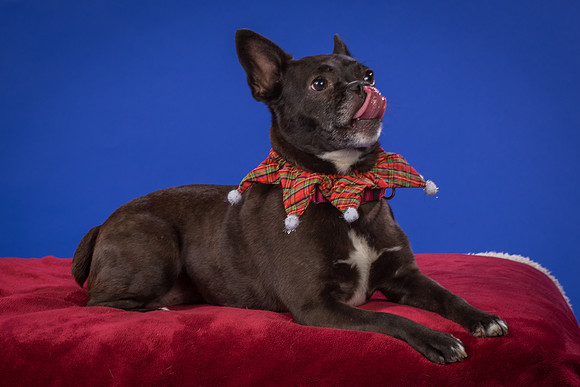 Slattery-Bella-0086