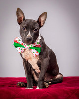 Foster Seymour-3663