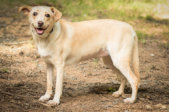 Foster June-8626