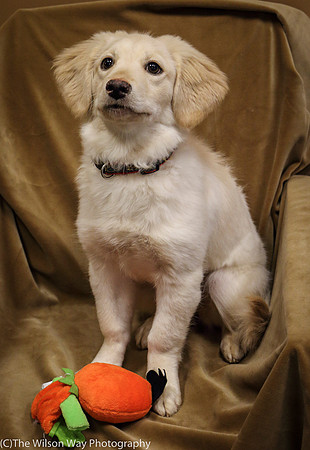 Foster Stephanie-0367