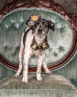 Foster Billie-8139