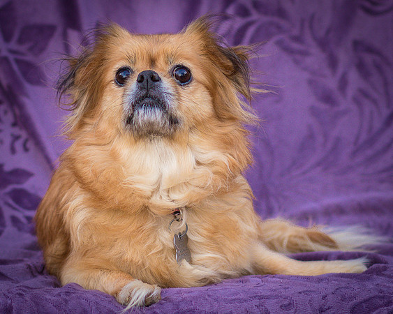 Foster Tia Maria-7867