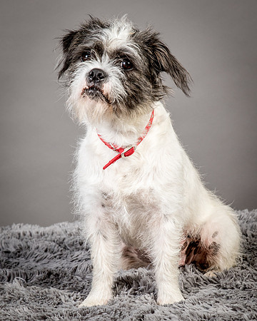 Foster Leeza-2677