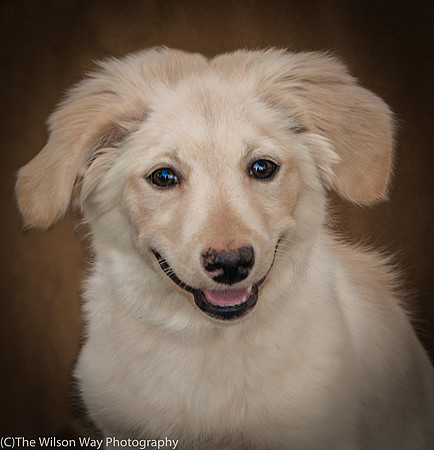 Foster Stephanie-9624