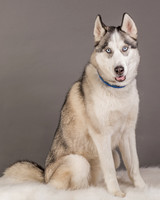 Foster Aspen-7589