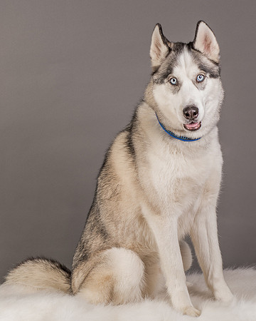 Foster Aspen-7589