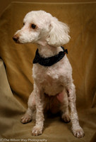 Foster Loretta-0186