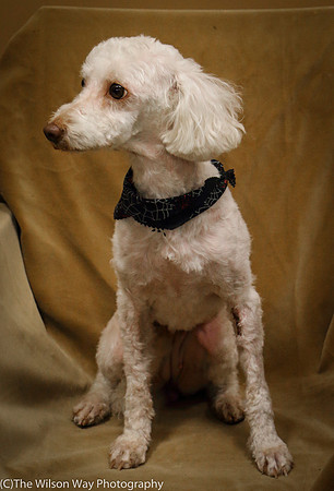 Foster Loretta-0186