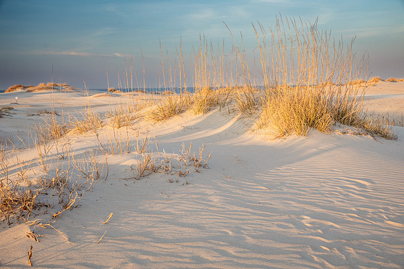 Beach-4295