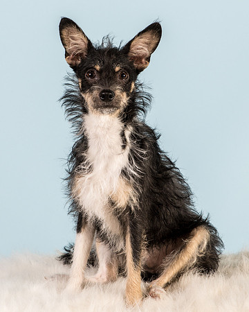 Foster Riley-5041