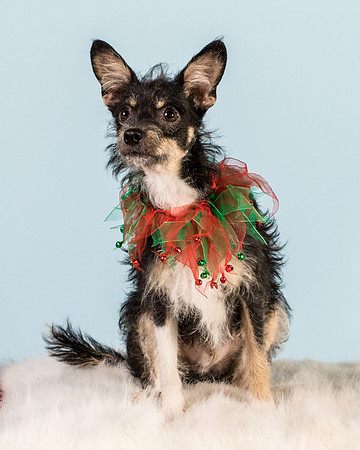 Foster Riley-4991