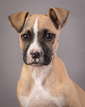 Foster Barnabas-4497