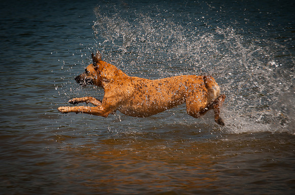 Roxy Running on Water-0522
