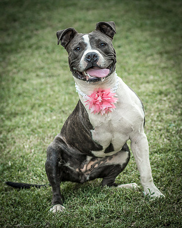 Foster Maya-0310